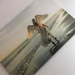 Gold Angel * Πόζναν